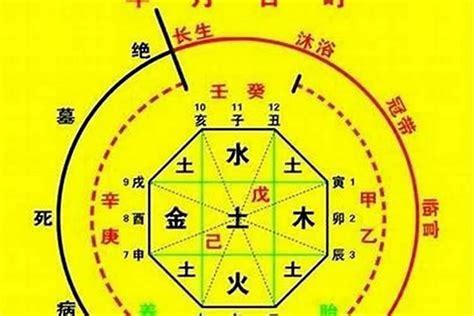 八字喜用神怎麼看|【如何看喜用神】八字入門必學！解密你的喜用神，掌握運勢先。